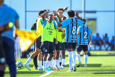 futebol, grêmio<!-- NICAID(16065334) -->